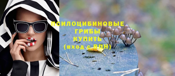гидропоника Инта
