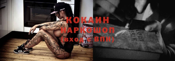 гидропоника Инта