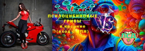 гидропоника Инта