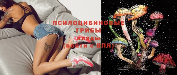 сатива Инсар