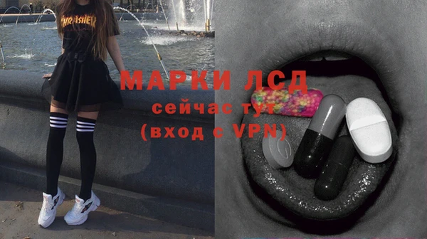 сатива Инсар