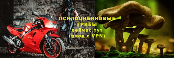 тгк Каменка