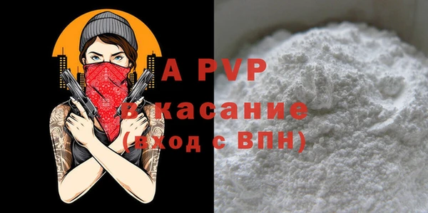 сатива Инсар