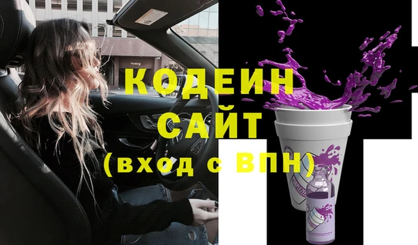 сатива Инсар